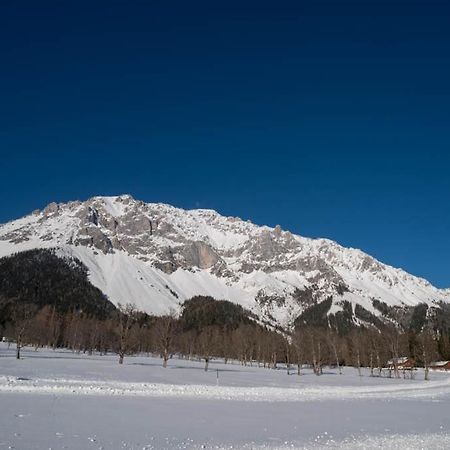 Adlernest Apartment Ramsau am Dachstein Exterior photo